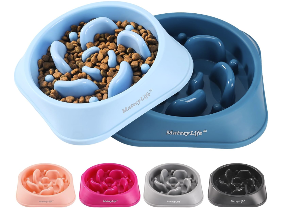 Slow Feeder Anti-Bloat Dog Bowl