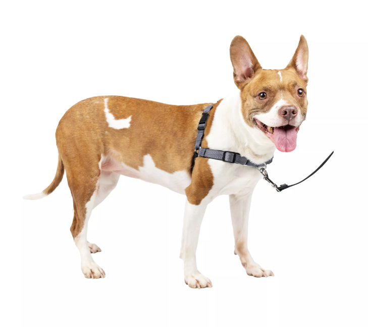 Ergonomic No-Pull Dog Harness - Pet Accessories