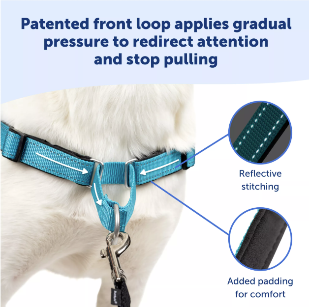 Reflective Night Walk Dog Leash